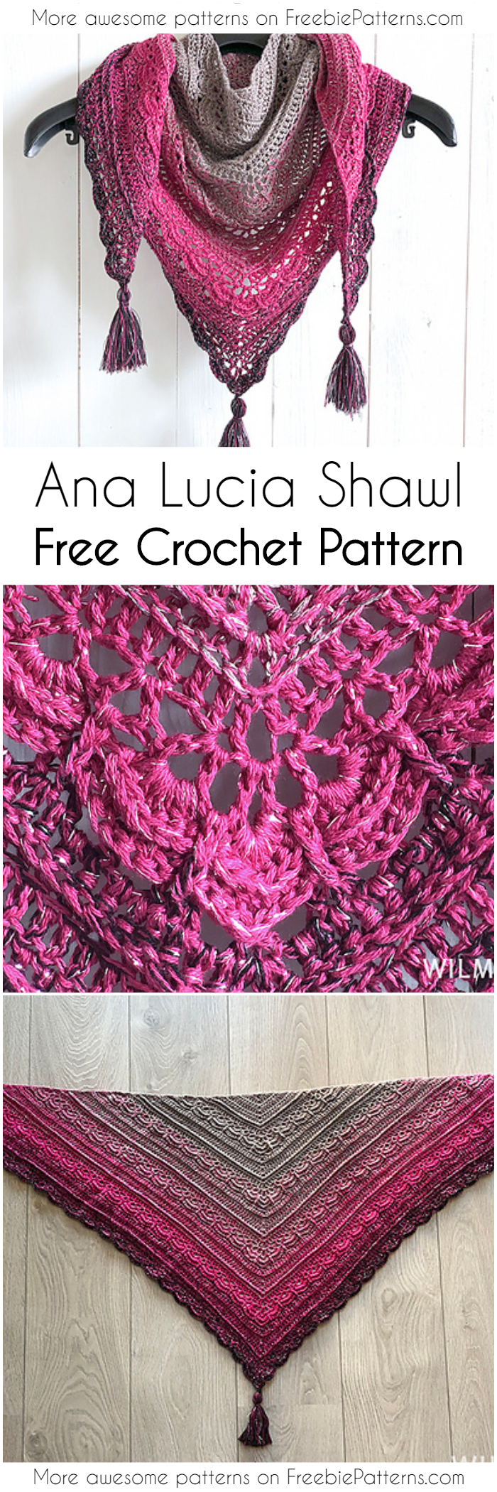 Ana Lucia Shawl Free Crochet Pattern